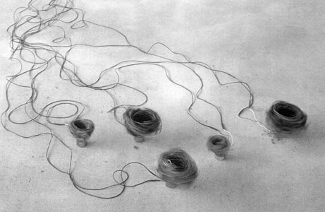 Kahlen_Kosmos1994.jpg (24102 Byte)