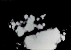 Kahlen_Phosphor7.jpg (30151 Byte)