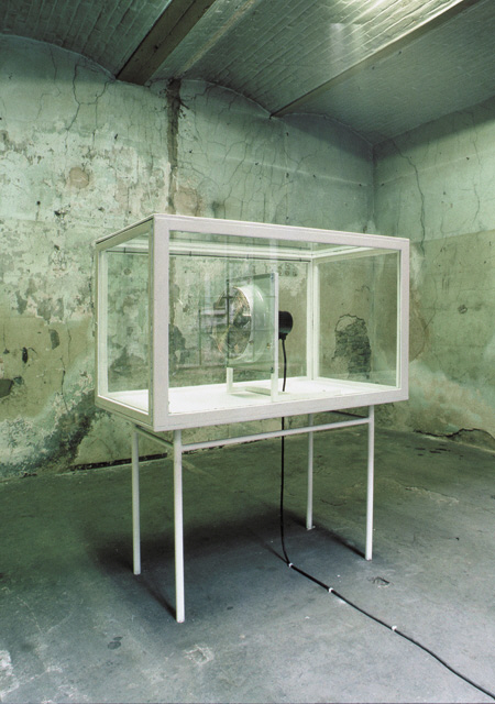 timokahlen_vitrine_kw 1991.jpg (152159 Byte)